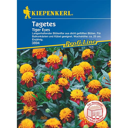 Aksamitník rozkladitý Tiger Eyes - : Monžstvo balíkov: 1 ob