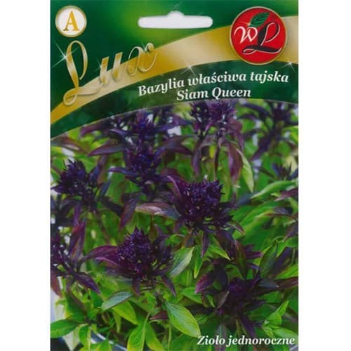 1 szt, Bazsalikom Thai Siam Queen - Magok: Mod de ambalare: 1 g