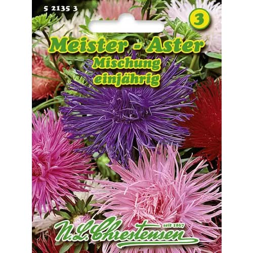 1 szt, Kerti őszirózsa Meister, színkeverék - Magok: Mod de ambalare: 1 db