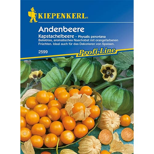 1 szt, Andenbeere Kapstachelbeere - Samen: Ilość w opakowaniu: 1 Stück