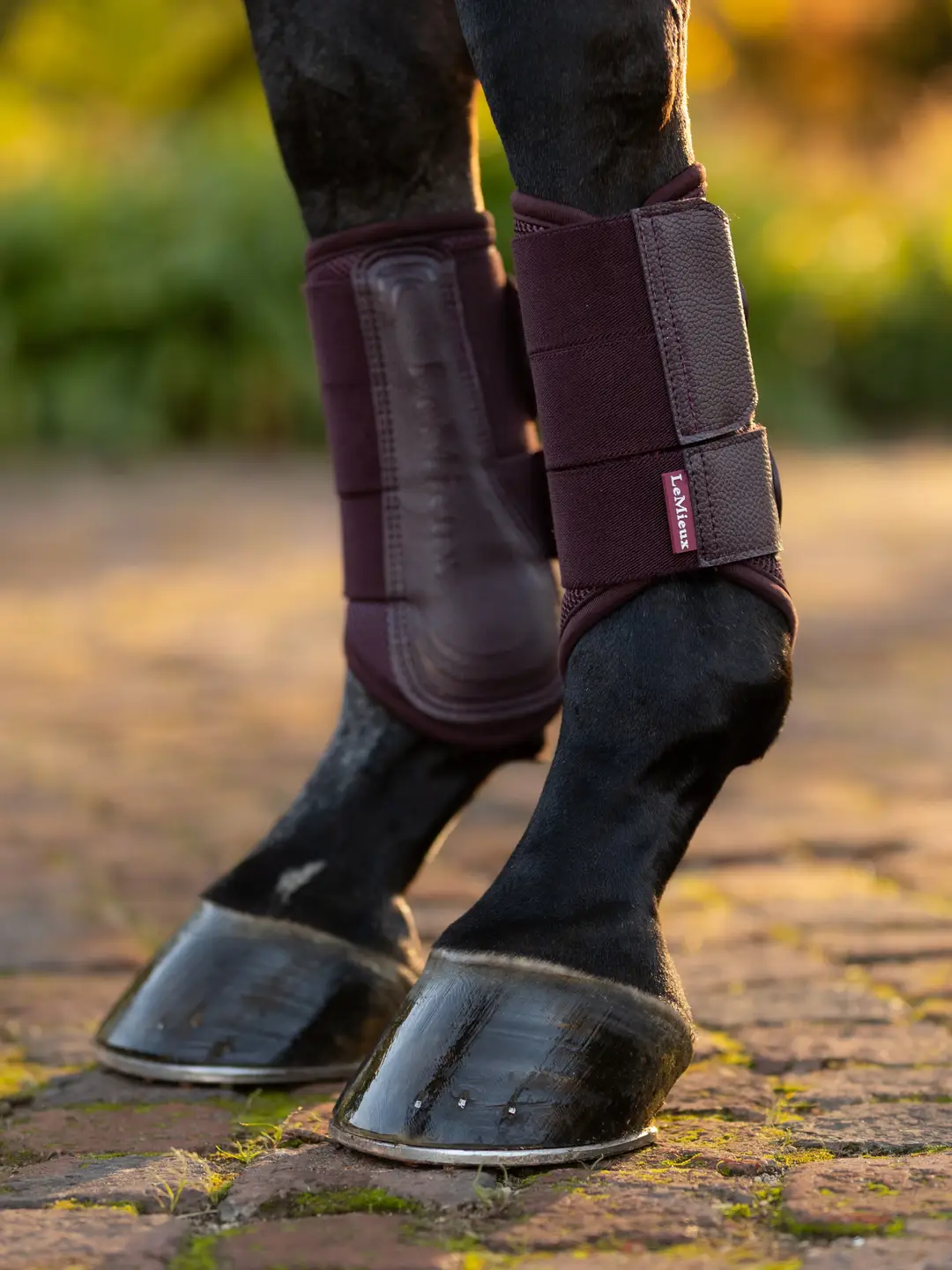 LeMieux ochraniacze Arika Mesh Damson