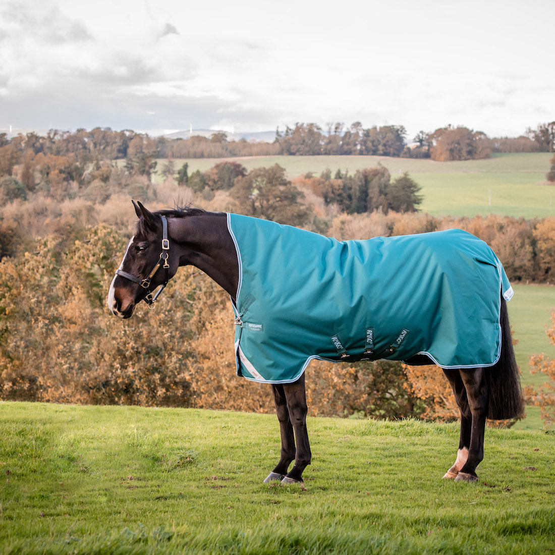 Horseware derka padokowa Amigo Bravo 12 Wug Lite 0g 24h