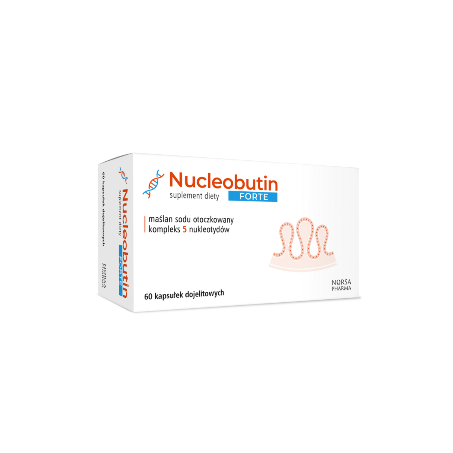 Norsa pharma, nucleobutin forte, 60 kapsułek