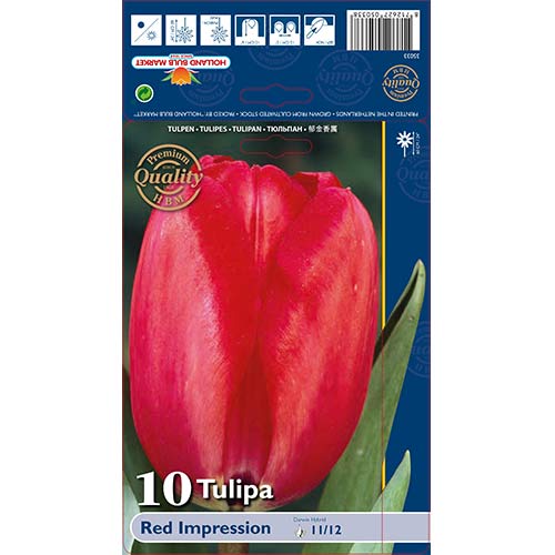 10 buc, Lalele Red Impression - Bulbi: Mod de ambalare: 10 buc
