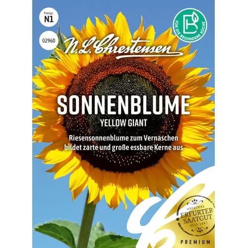 1 pac, Floarea soarelui decorativă Yellow Giant - Semințe: Mod de ambalare: 1 pac