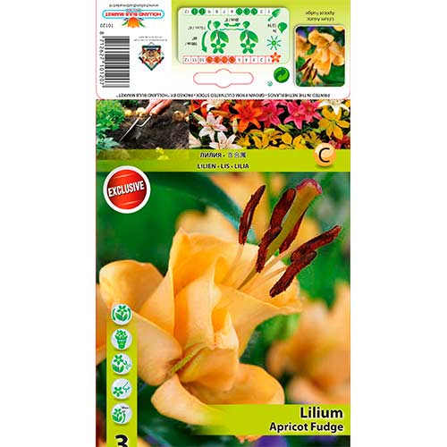 3 buc, Crin Apricot Fudge - Bulbi: Mod de ambalare: 3 buc