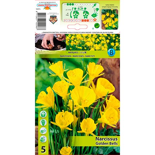 Narcissus Golden Bells - Bulbos: Ilość w opakowaniu: 5 bulbe