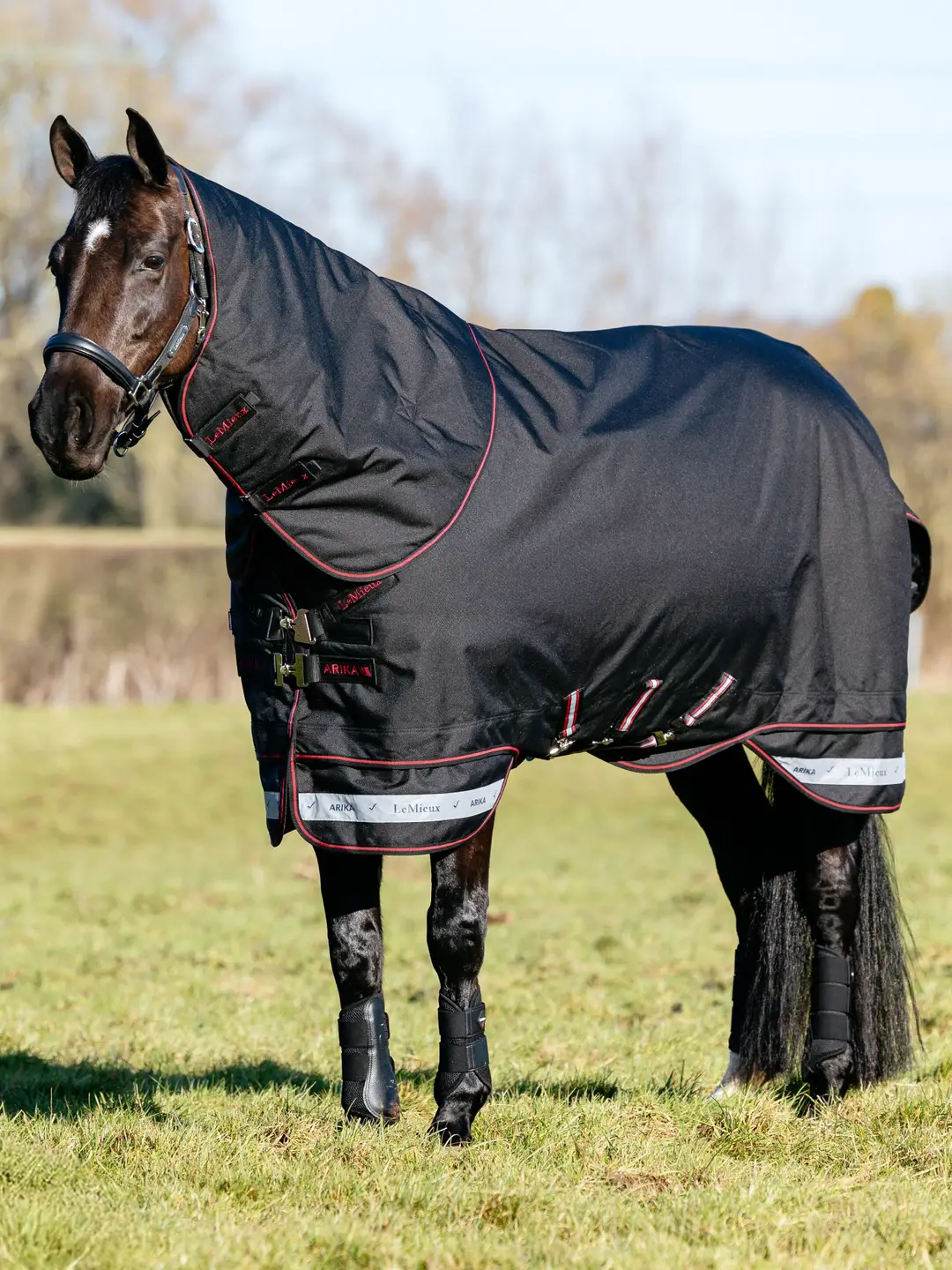 Lemieux Arika Storm-Tek derka padokowa z kapturem 50g Black