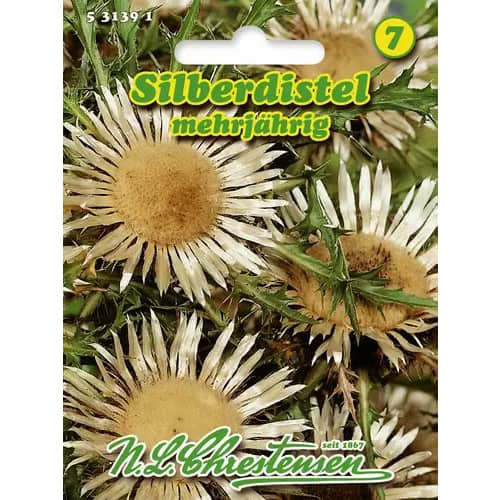 1 szt, Silberdistel Chrestensen - Samen: Ilość w opakowaniu: 1 Stück