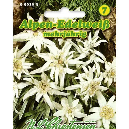 1 szt, Edelweiss Chrestensen - Samen: Ilość w opakowaniu: 1 Stück
