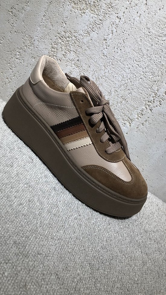 Sneakers SN23 Cappuccino / Fango
