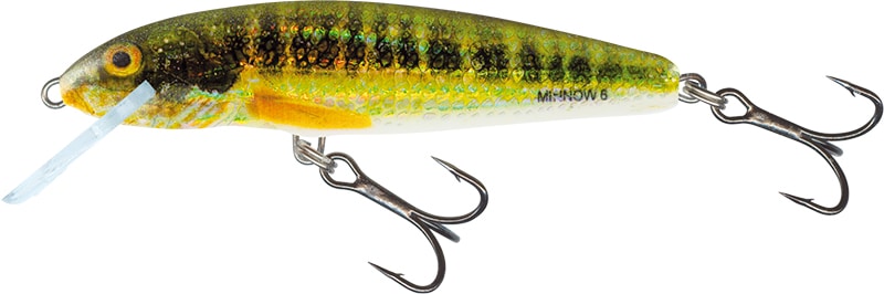 Salmo Wobler Minnow 6cm Tonący Holo Real Minnow