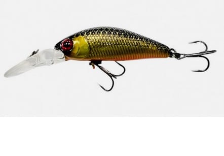 JACKALL wobler Chubby Diving Minnow 35SP HL Gold & Black