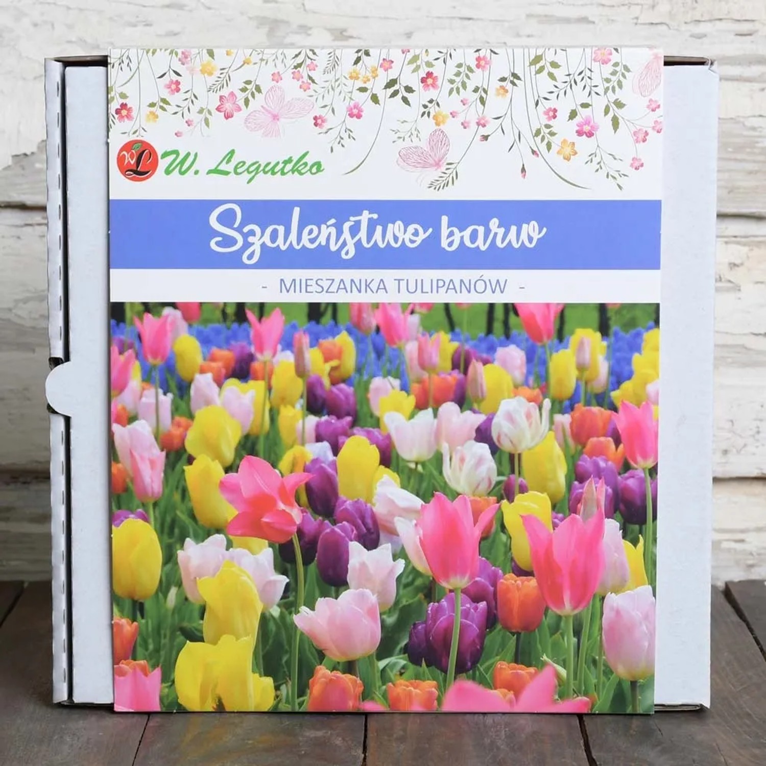 Tulipan Szaleństwo Barw mix cebul - 20 szt.