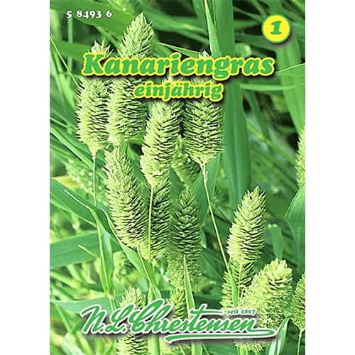 Hrkálka kanárska - : Monžstvo balíkov: 1 kus