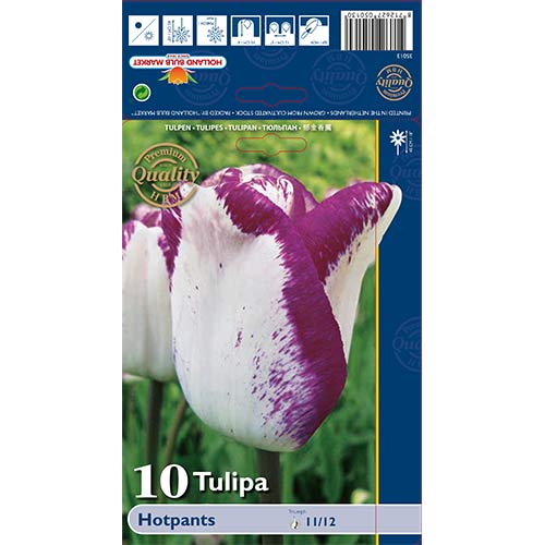 10 cib, Tulipán Hotpants - : Monžstvo balíkov: 10 cib