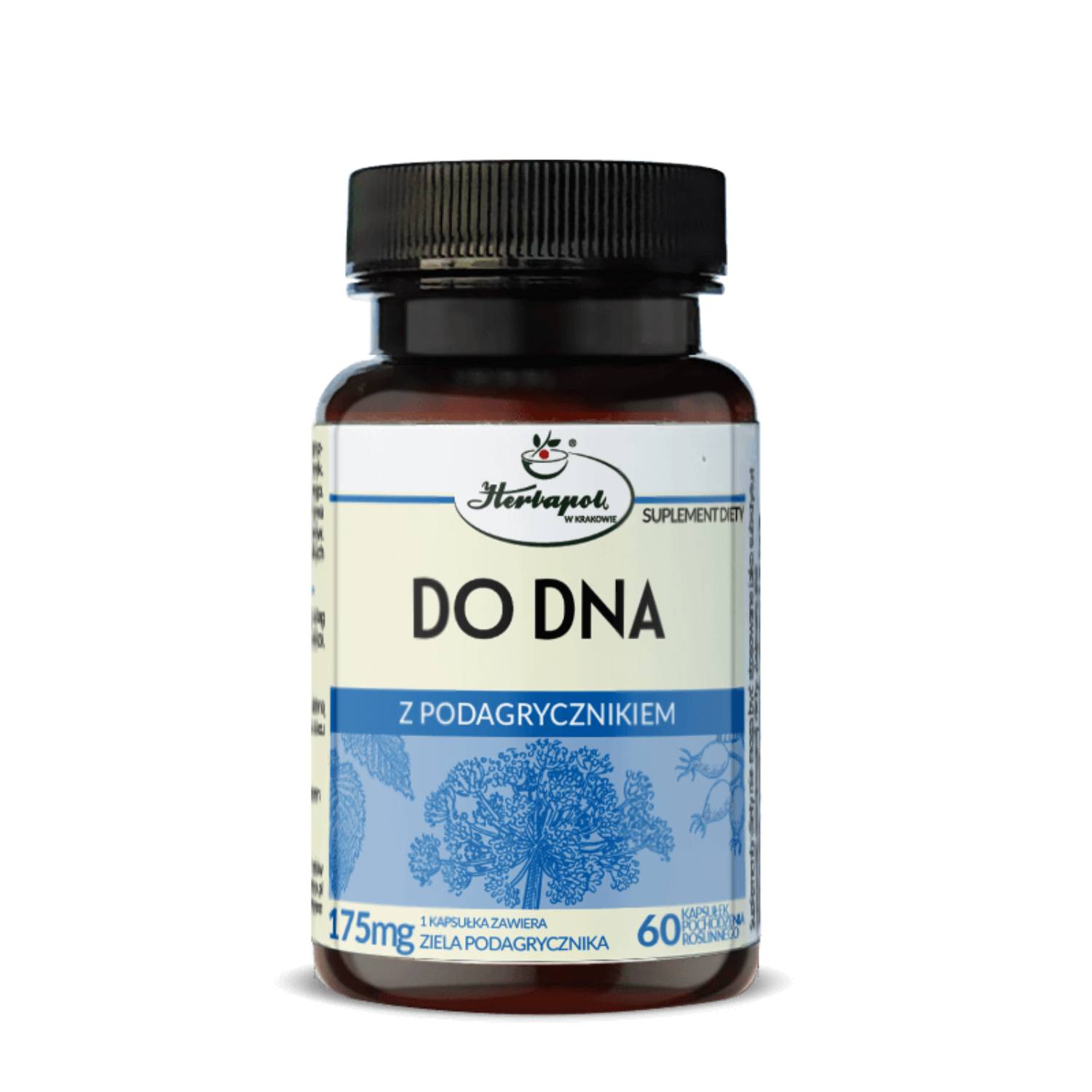 Herbapol kraków, do dna, 60 kapsułek