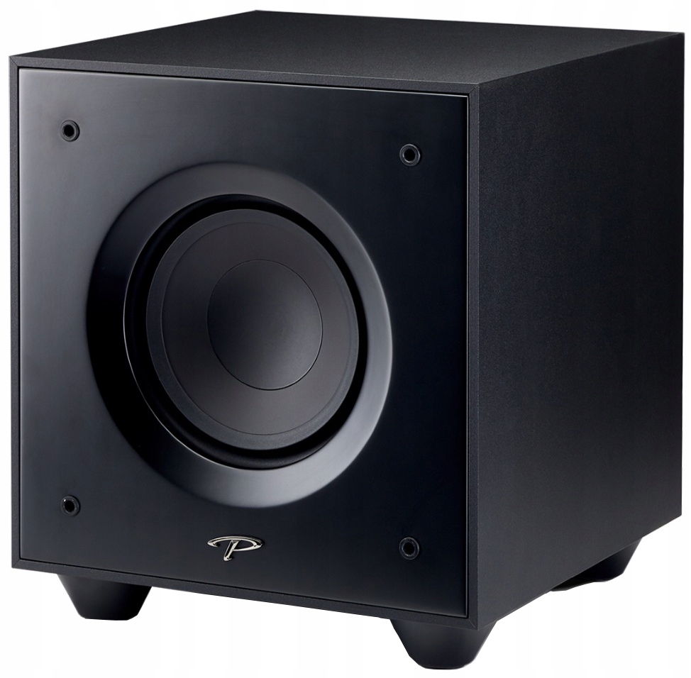 Paradigm defiance v10 open box