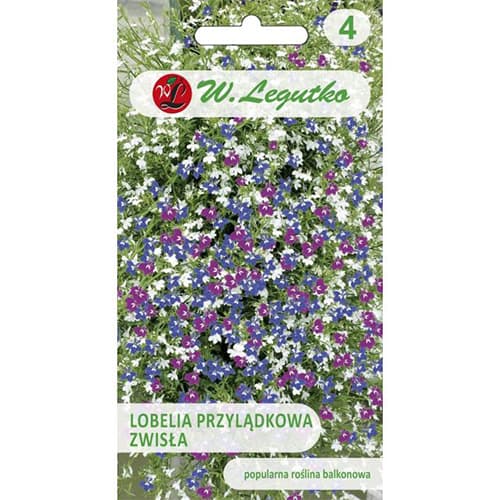 1 szt, Lobelia zwisła, mix kolorow - Nasiona: Ilość w opakowaniu: 0.2 g