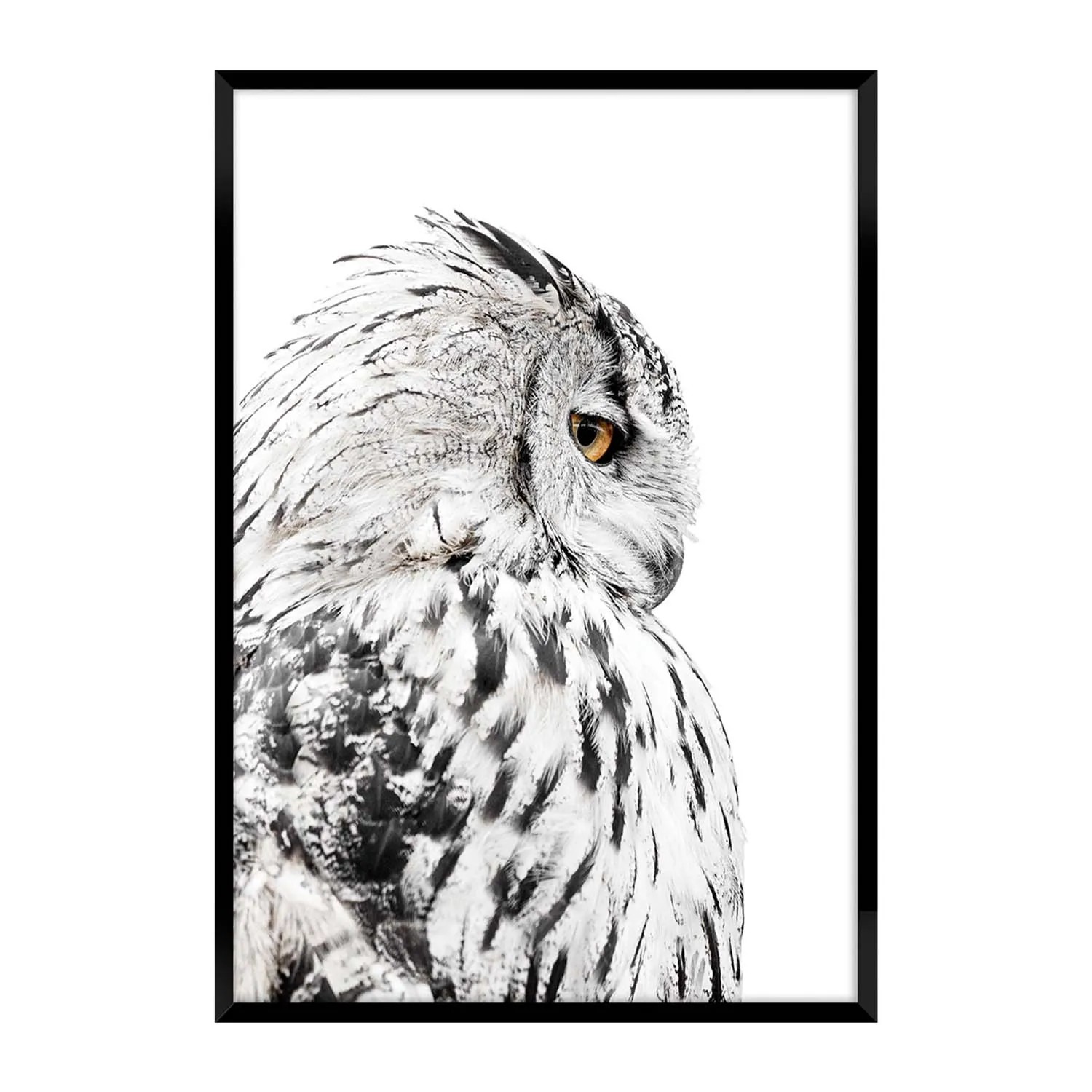 Obraz Framepic SOWA 50 cm x 70 cm
