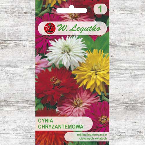 1 pac, Zinnia (Cârciumăreasă) tip crizantemă, mix multicolor Legutko - Semințe: Mod de ambalare: 1 g