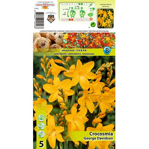 5 buc, Crocosmia George Davidson - Bulbi: Mod de ambalare: 5 buc