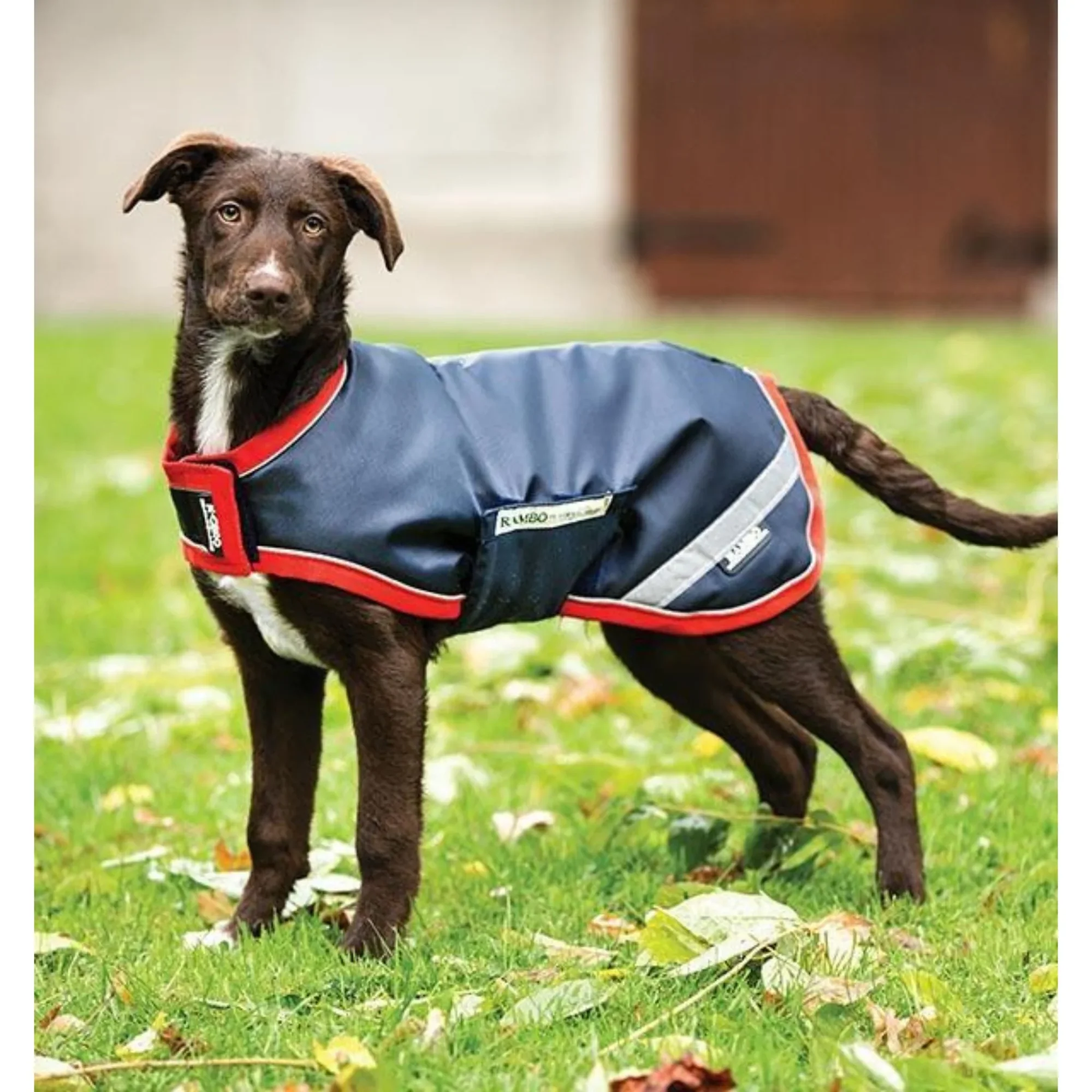 Horseware Rambo 2w1 przeciwdeszczowa kurtka dla psa 24h