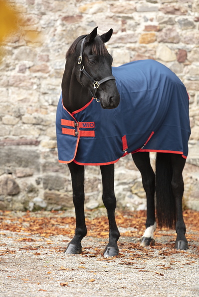 Horseware derka stajenna Mio 24h