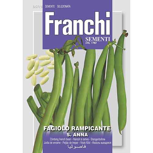 1 szt, Fasola tyczna S. Anna Morami - Nasiona: Ilość w opakowaniu: 250 g