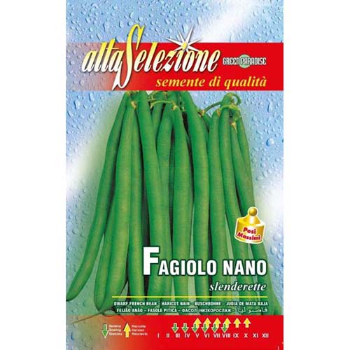 1 szt, Fasola szparagowa Slenderette Morami - Nasiona: Ilość w opakowaniu: 250 g