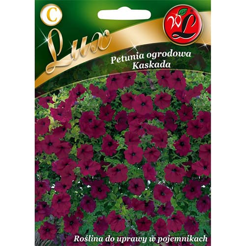 Petúnia záhradná Kaskada purpurová - : Monžstvo balíkov: 0.02 g
