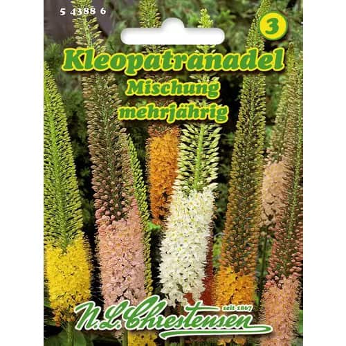Kleopatria ihla, zmes - : Monžstvo balíkov: 1 ob