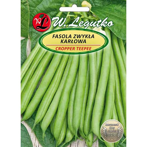 1 szt, Buschbohne Cropper Teepee - Samen: Ilość w opakowaniu: 40 g