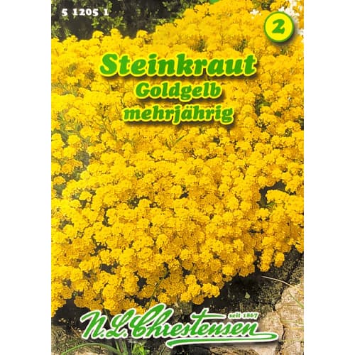 1 szt, Steinkraut Goldkörbchen - Samen: Ilość w opakowaniu: 1 Stück
