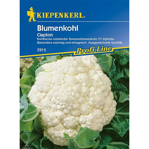 1 szt, Blumenkohl Clapton F1 - Samen: Ilość w opakowaniu: 1 Stück