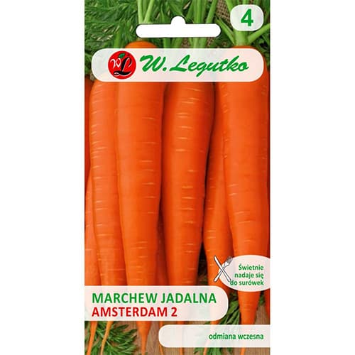 1 szt, Möhre Amsterdam 2 Legutko - Samen: Ilość w opakowaniu: 6 g