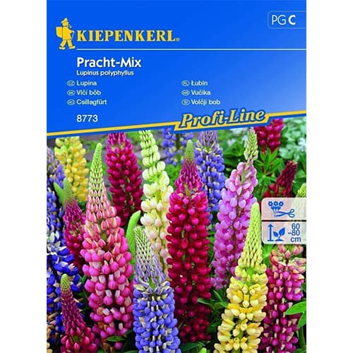 1 szt, Lupine Prachtmischung - Samen: Ilość w opakowaniu: 1 Stück