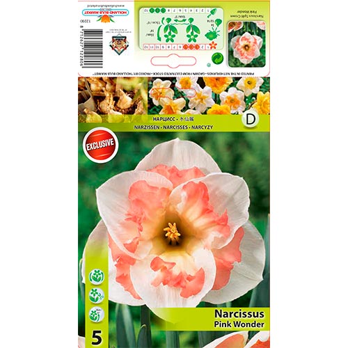 Narcissus Pink Wonder - Bulbos: Ilość w opakowaniu: 5 bulbe
