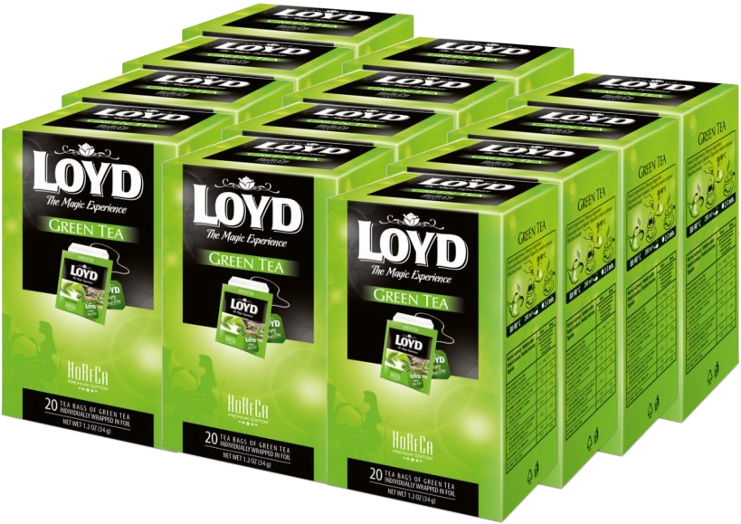 12x Herbata zielona w kopertach Loyd Horeca Green Tea, 20 sztuk x 1.7g
