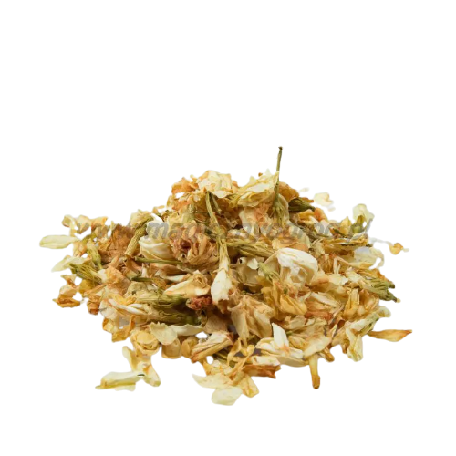 Jaśmin - kwiat
