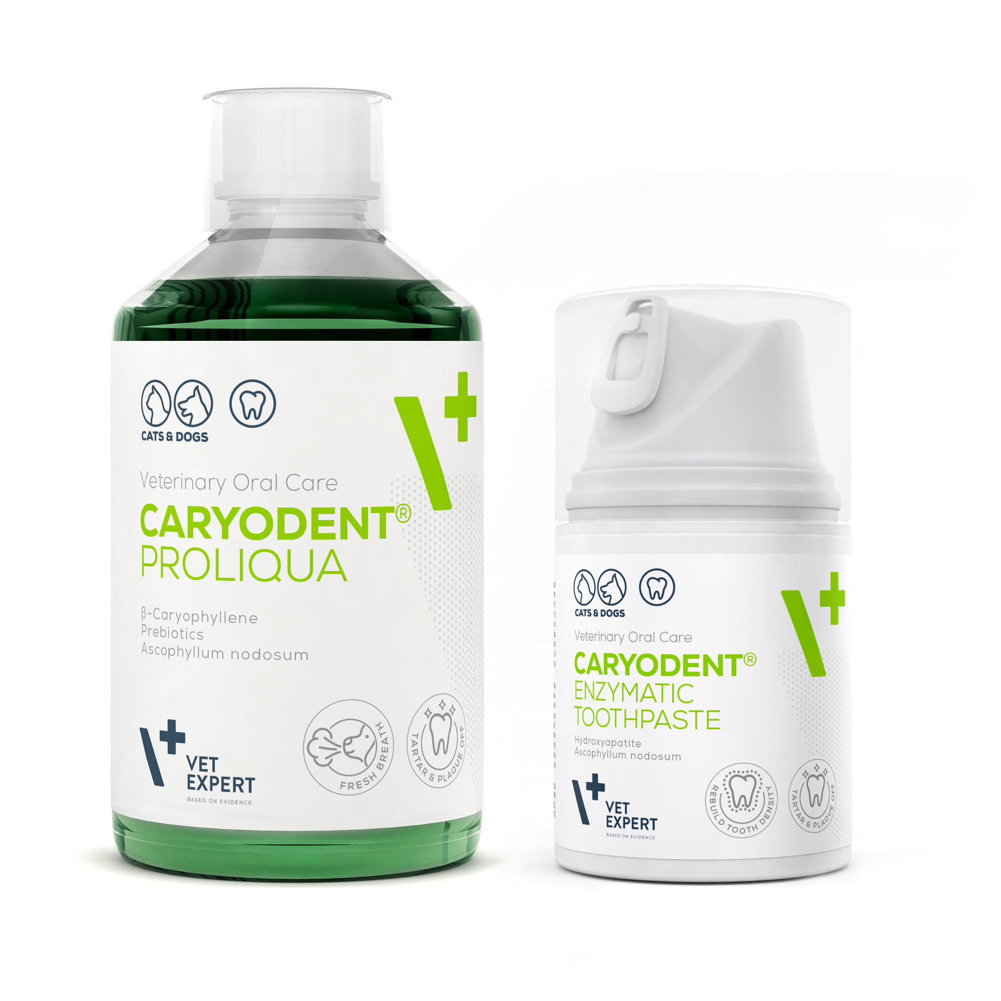 Caryodent Enzymatic Toothpaste + Proliqua | VET EXPERT | Zestaw do higieny jamy ustnej psa i kota