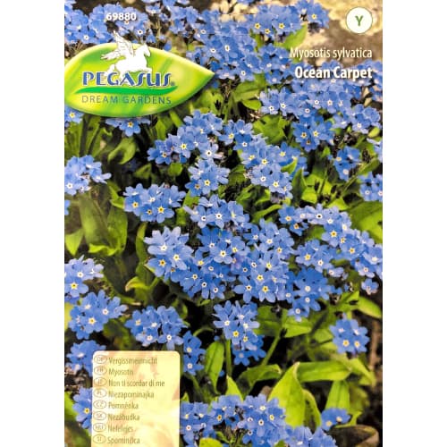 Nezábudka Ocean Carpet - : Monžstvo balíkov: 1 ob