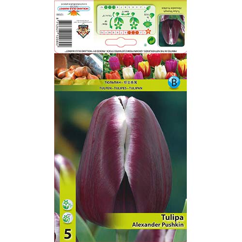 5 cib, Tulipán Alexander Pushkin - : Monžstvo balíkov: 5 cib