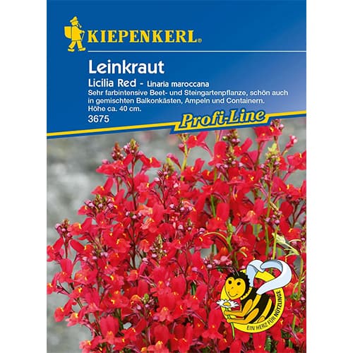 1 szt, Marokkói Toadflax Licilia Red - Magok: Mod de ambalare: 1 db