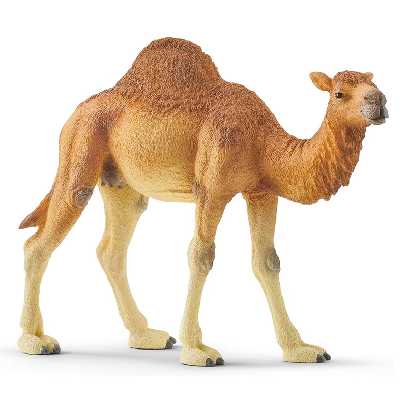 Schleich Wild Life Wielbłąd 14832