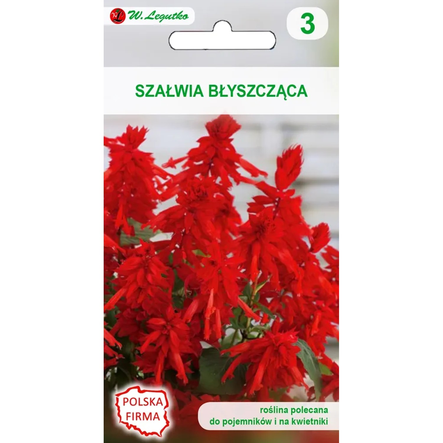 Szałwia błyszcząca czerwona 0,4g