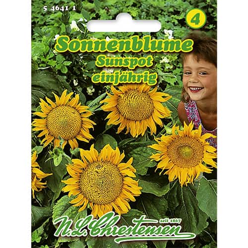 1 pac, Floarea soarelui decorativă Sunspot - Semințe: Mod de ambalare: 1 pac