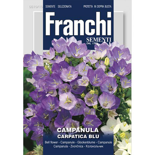 1 pac, Clopoțel (Campanula) Carpatica Blue - Semințe: Mod de ambalare: 1 g