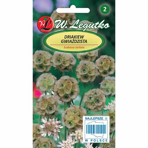 1 pac, Scabiosa stelată - Semințe: Mod de ambalare: 1 g