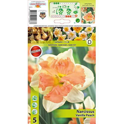 5 db, Nárcisz Vanilla Peach - Hagymák: Mod de ambalare: 5 db